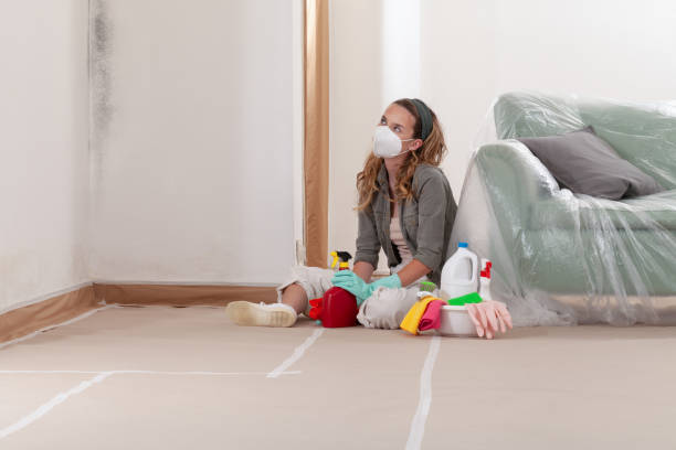 Reliable Bathroom Mold Removal contractor in Hinsdale, IL by Mold Remediation HQ